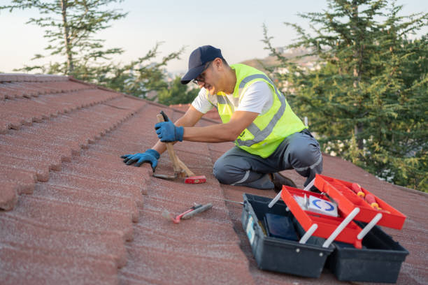 Best Roof Replacement Cost  in New Ellenton, SC